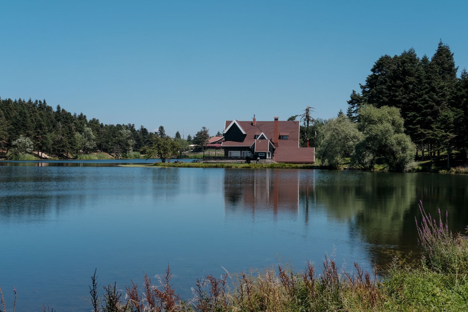 Lakefront home surrounded by mature trees at the water's edge